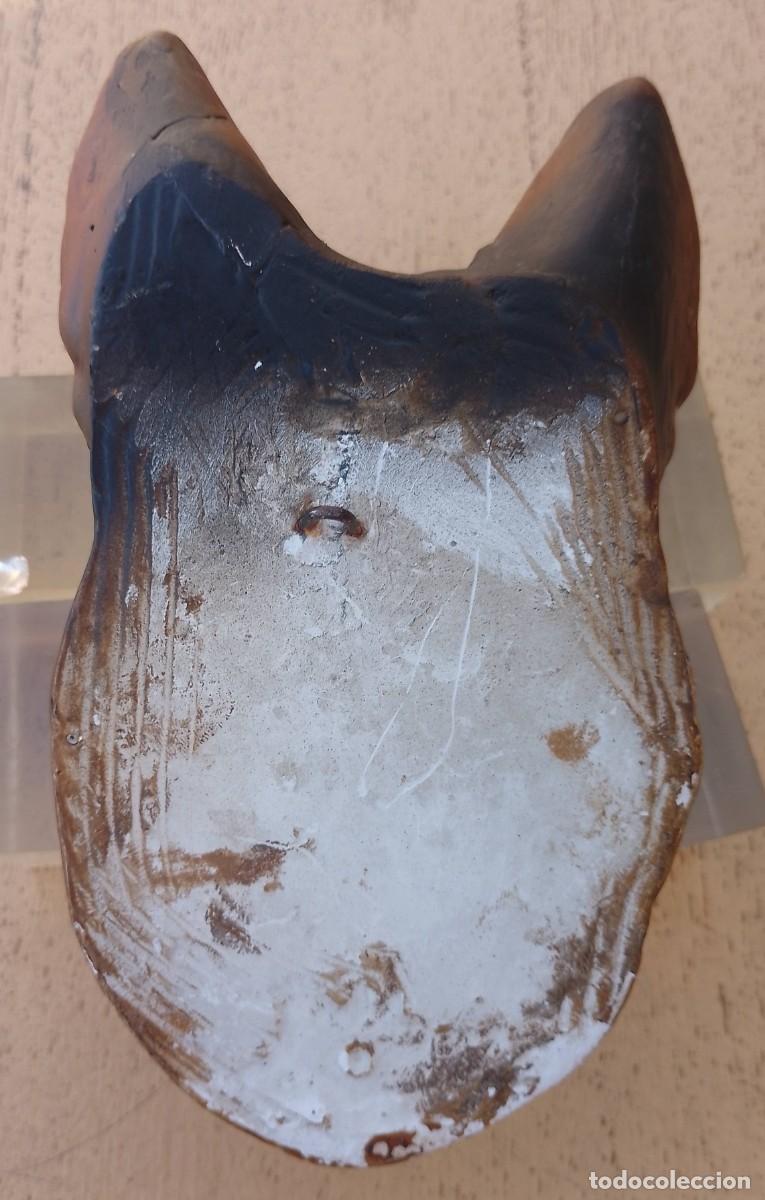 Antig&uuml;edades: Cabeza Pastor Alem&aacute;n en Escayola - Foto 8