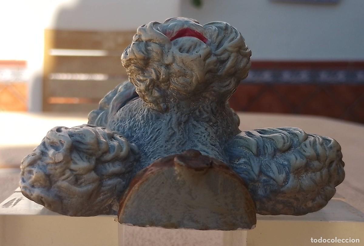 Antig&uuml;edades: Cabeza Caniche en Escayola - Foto 2