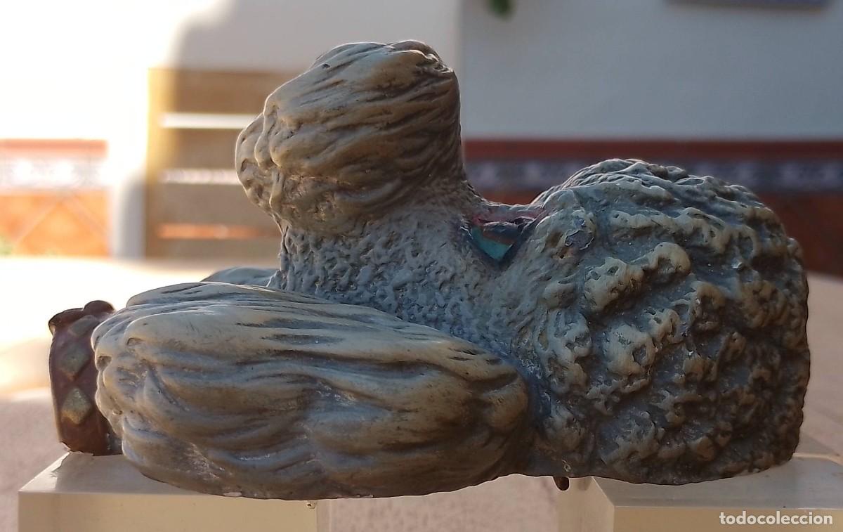 Antig&uuml;edades: Cabeza Caniche en Escayola - Foto 5