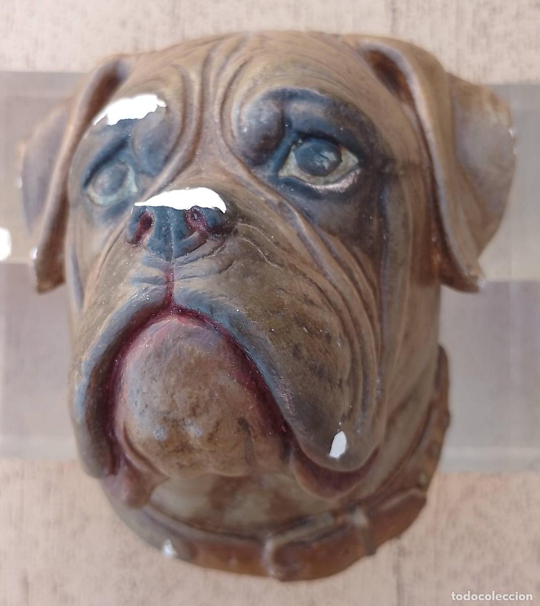 Antig&uuml;edades: Cabeza Boxer en Escayola - Foto 1