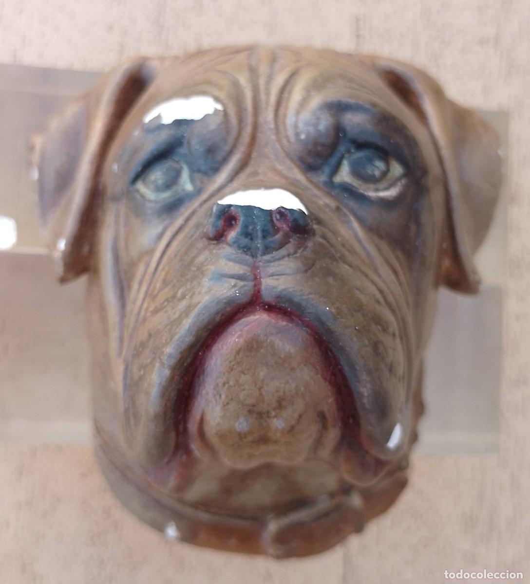 Antig&uuml;edades: Cabeza Boxer en Escayola - Foto 6