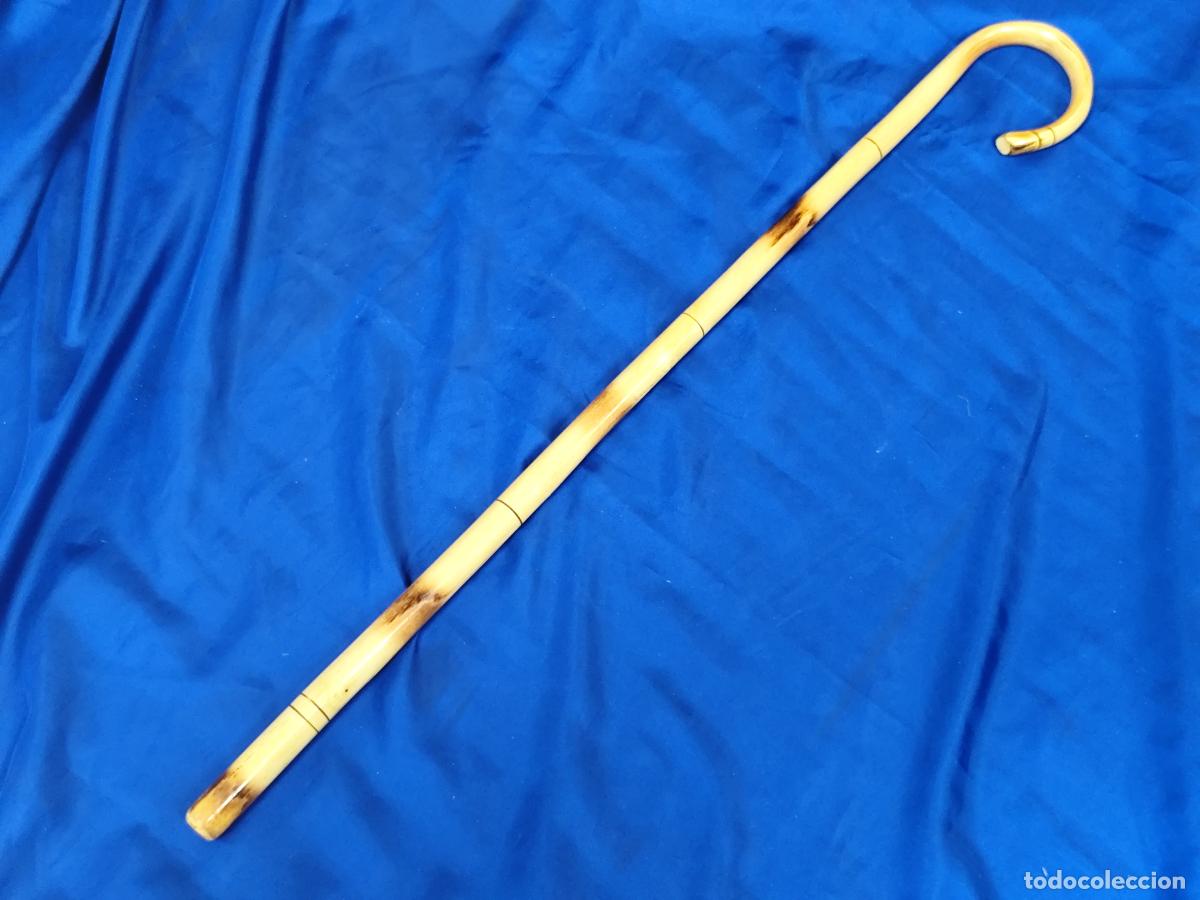 Antig&uuml;edades: BASTON EN MADERA CA&Ntilde;A GARROTE - Foto 1