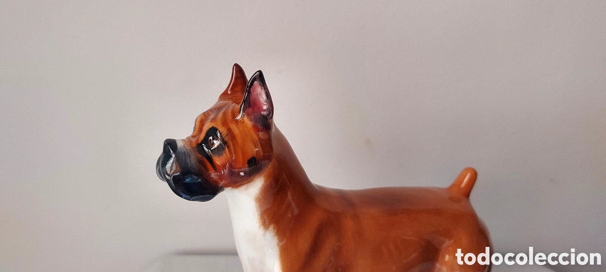 Antig&uuml;edades: PERRO BOXER ROYAL DOULTON - Foto 2