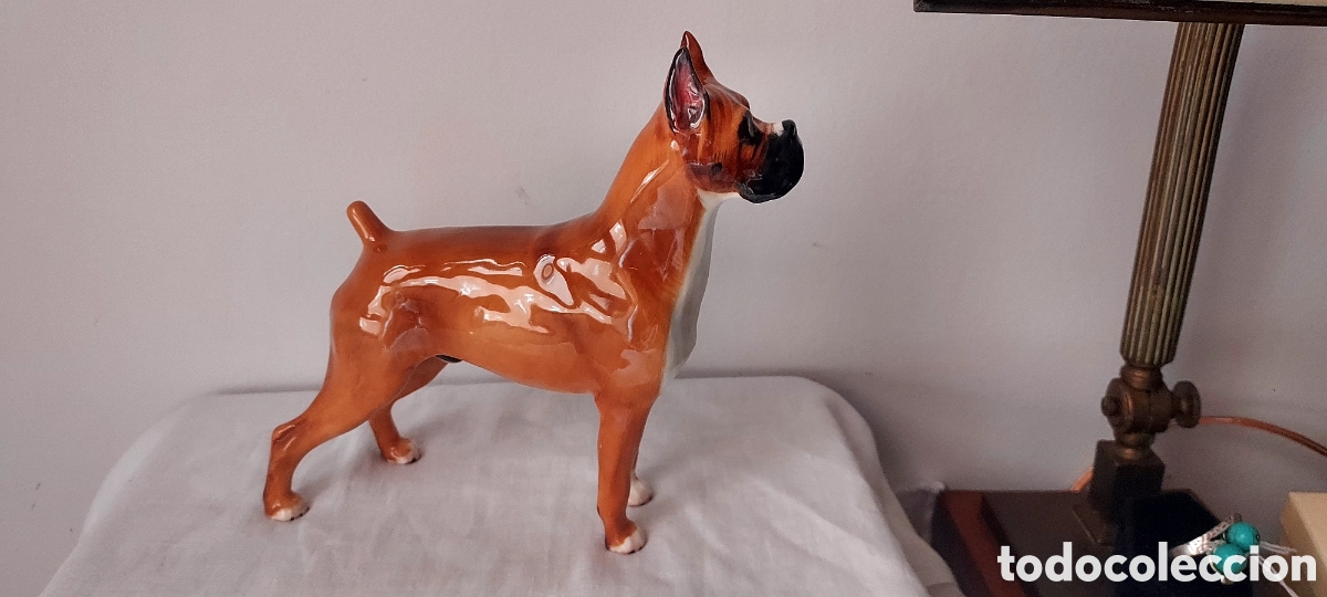 Antig&uuml;edades: PERRO BOXER ROYAL DOULTON - Foto 5