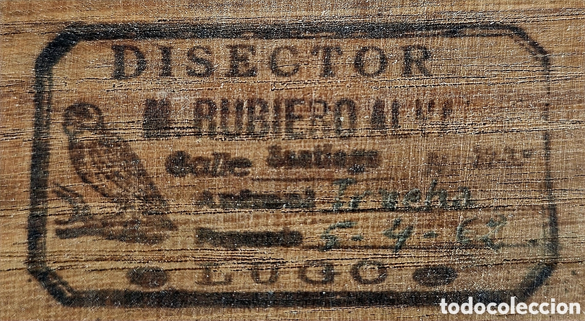 Antig&uuml;edades: GRAN TRUCHA DISECADA A&Ntilde;O 1962 - Foto 8