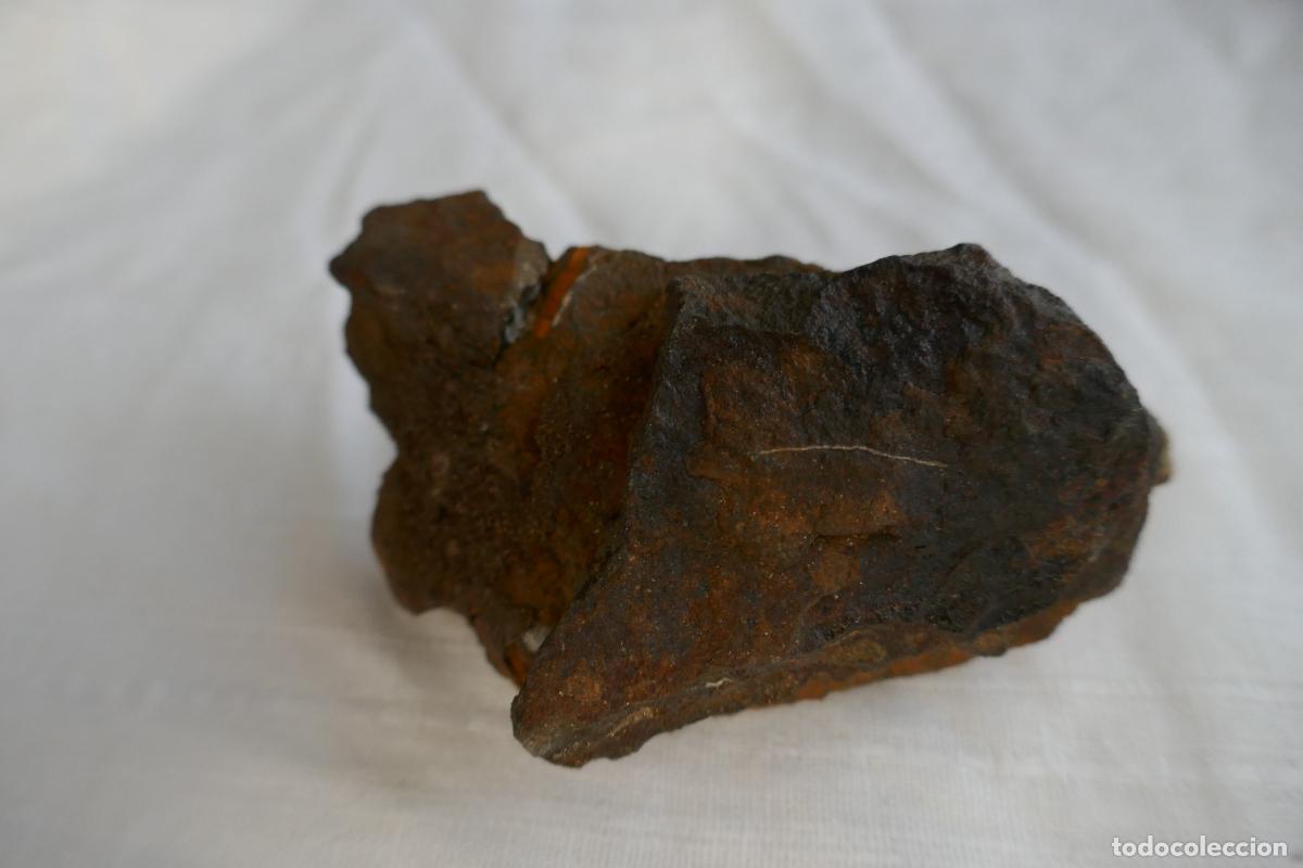 Antig&uuml;edades: Fosil Trilobite en piedra - Foto 5
