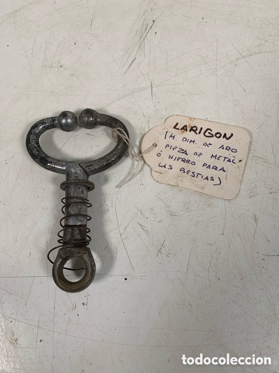 Antig&uuml;edades: 01_Antiguo l&aacute;rigon , narig&oacute;n - Foto 1