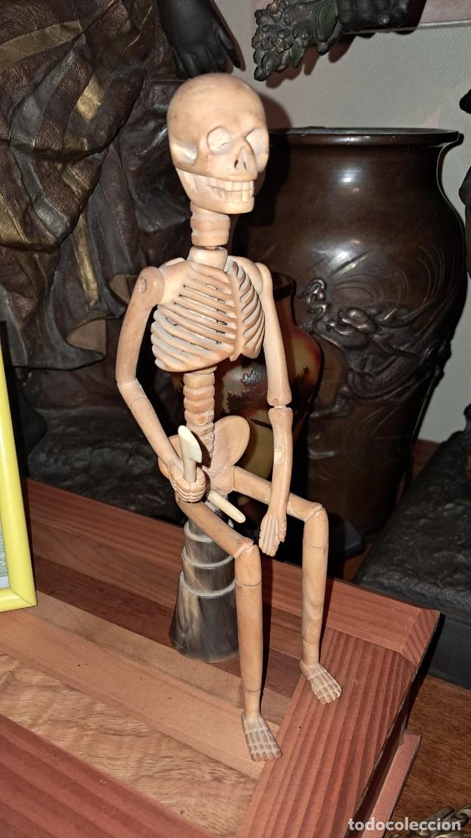Antig&uuml;edades: Esqueleto de cornamenta antiguo articulado - Foto 1