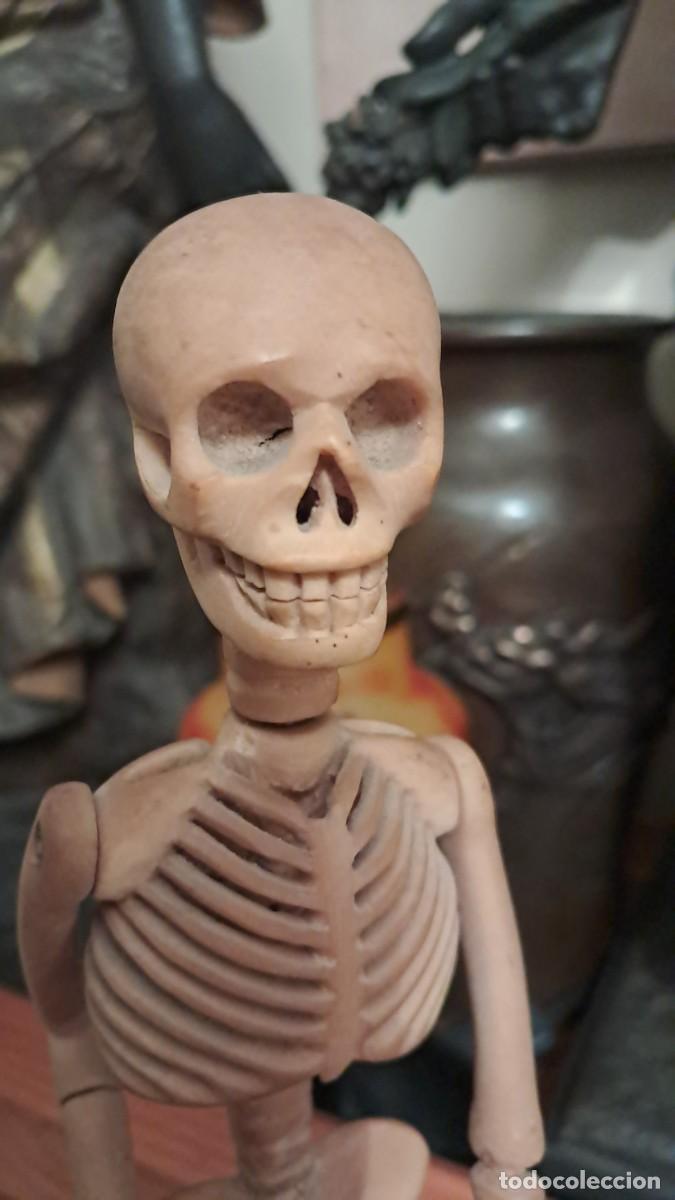Antig&uuml;edades: Esqueleto de cornamenta antiguo articulado - Foto 9