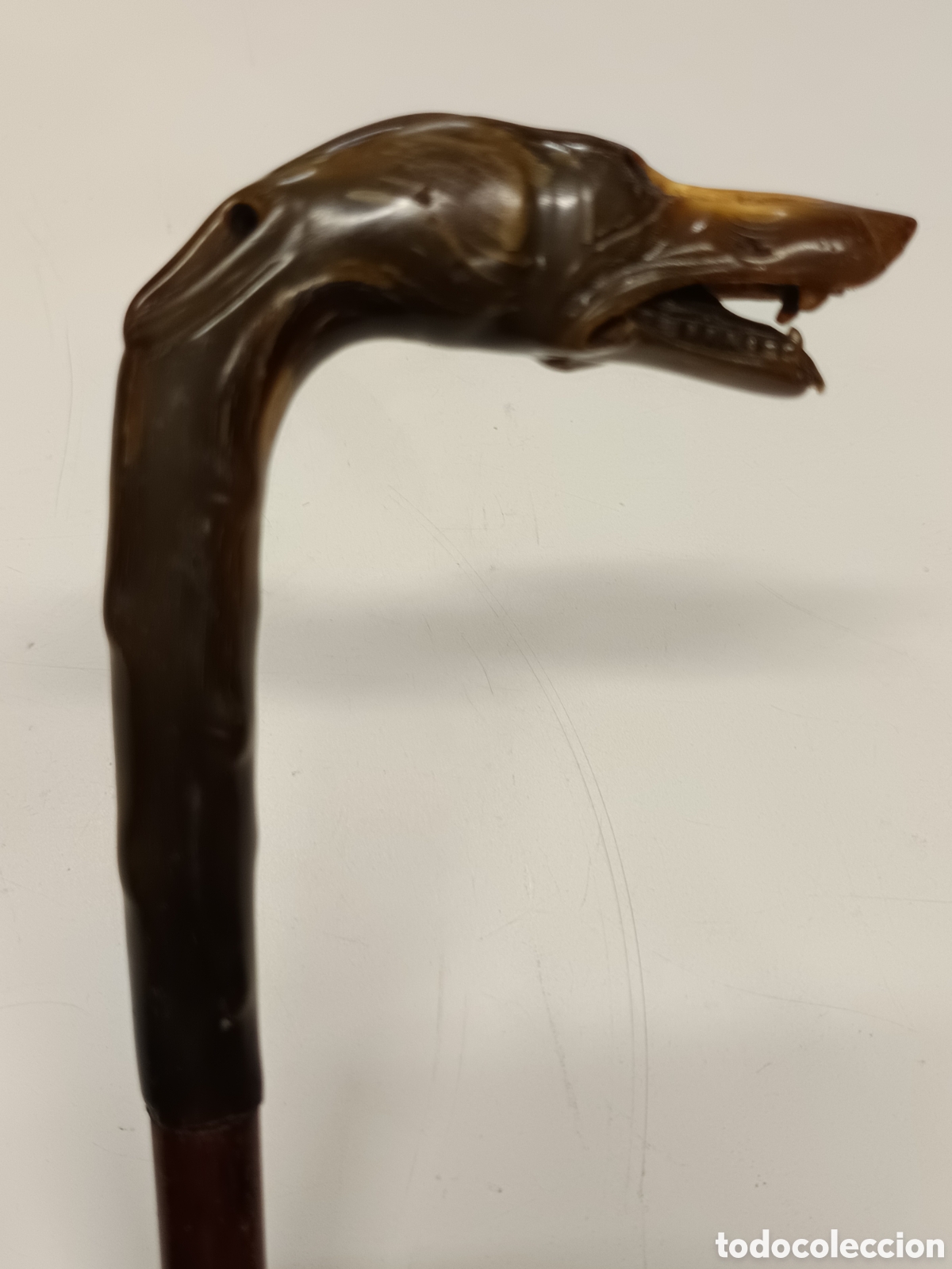 Antig&uuml;edades: Bast&oacute;n perro galgo cuerno - Foto 1