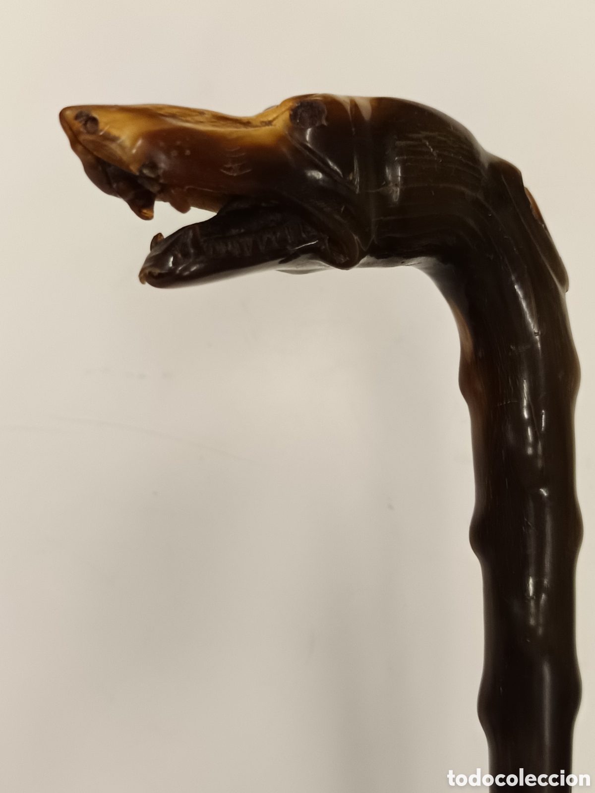 Antig&uuml;edades: Bast&oacute;n perro galgo cuerno - Foto 6