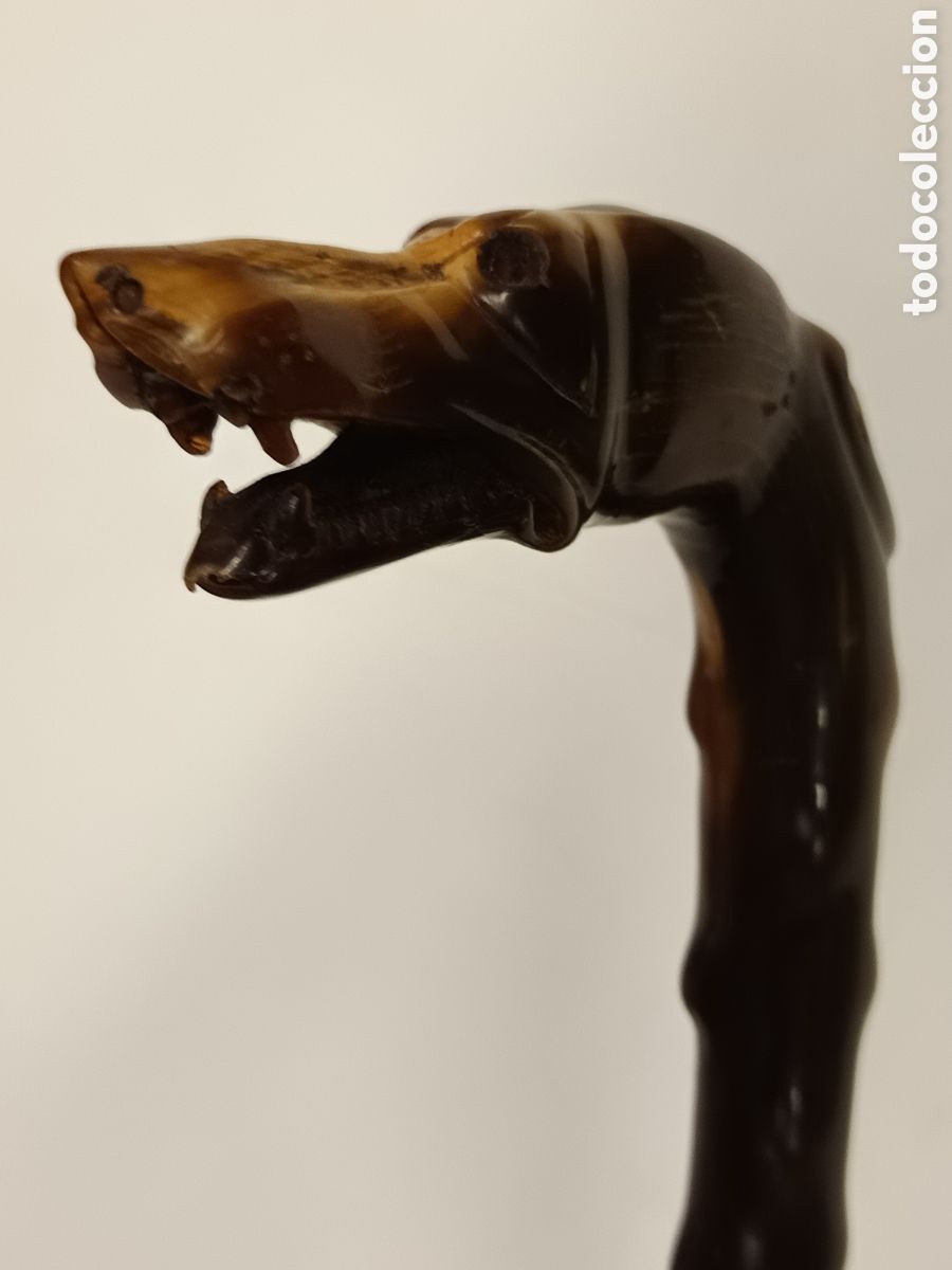 Antig&uuml;edades: Bast&oacute;n perro galgo cuerno - Foto 8