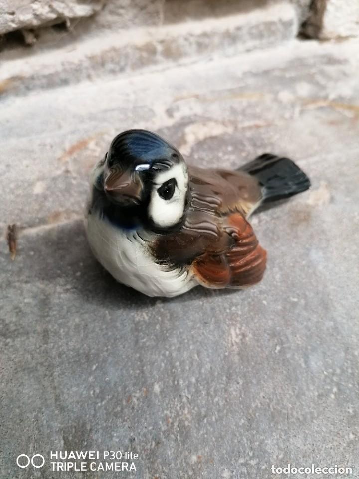 Antig&uuml;edades: pajaro goebel w germany - Foto 1