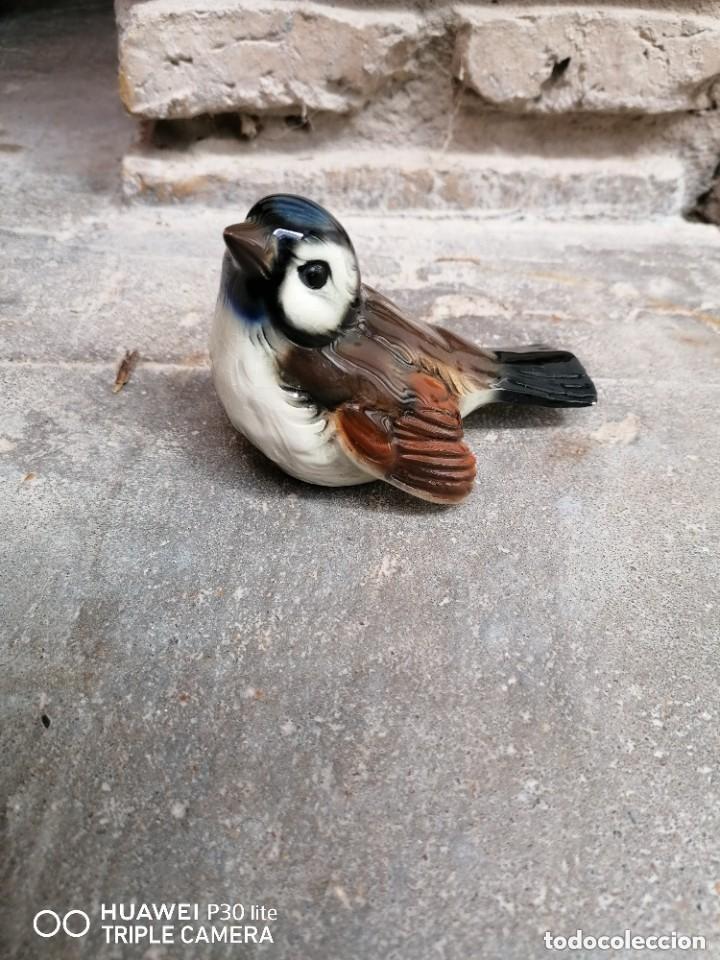 Antig&uuml;edades: pajaro goebel w germany - Foto 2