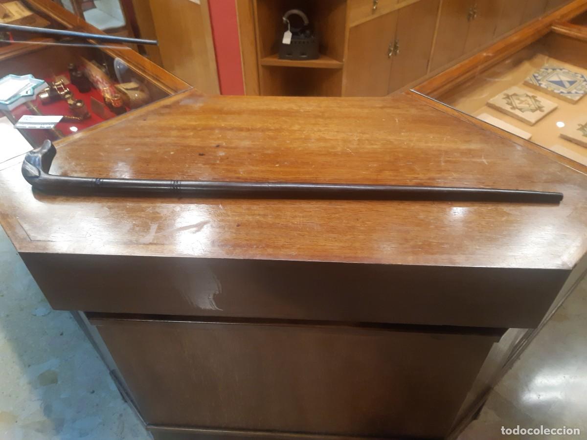Antig&uuml;edades: BASTON CON EMPU&Ntilde;ADURA DE CABEZA DE PERRO. - Foto 1