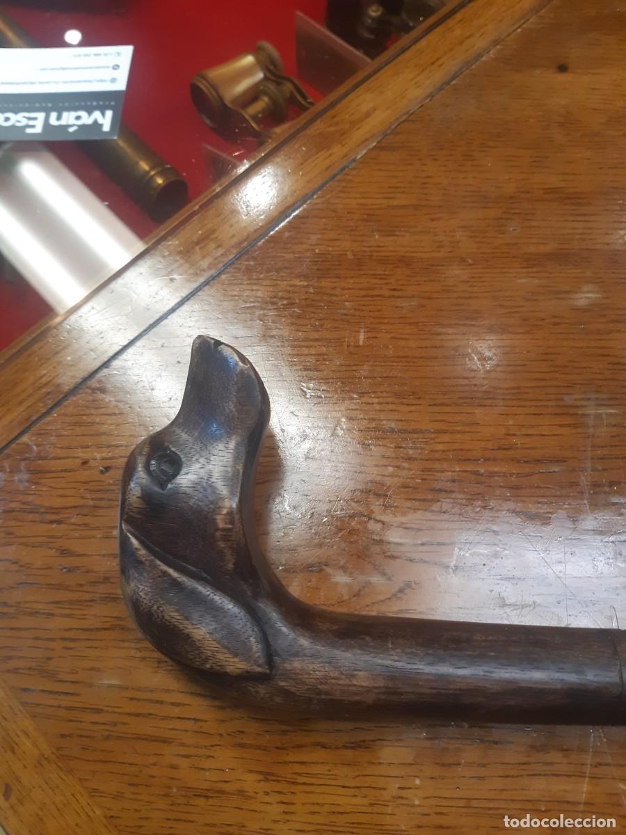Antig&uuml;edades: BASTON CON EMPU&Ntilde;ADURA DE CABEZA DE PERRO. - Foto 2