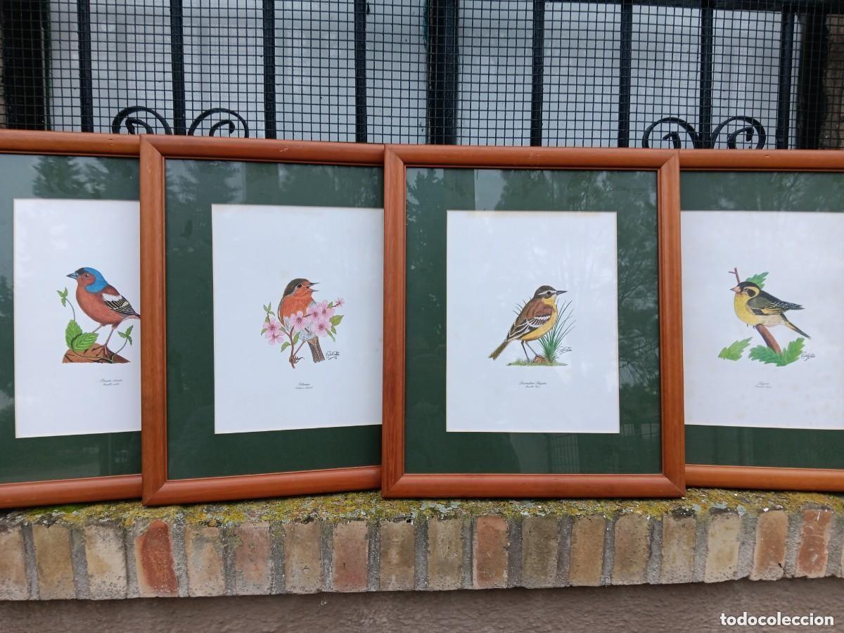 Antig&uuml;edades: Cuadro aves g.solto bue estado - Foto 1
