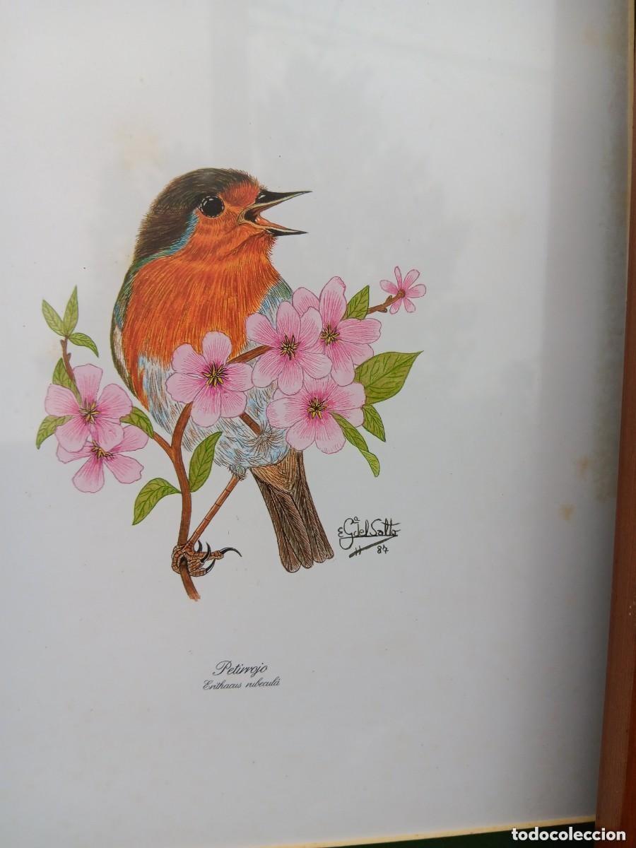 Antig&uuml;edades: Cuadro aves g.solto bue estado - Foto 2