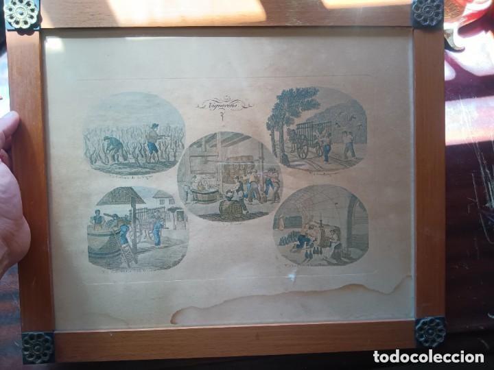 Antig&uuml;edades: Cuadro de procesos del vino , perteneci&oacute; a una Bodeguita de jerez - Foto 1