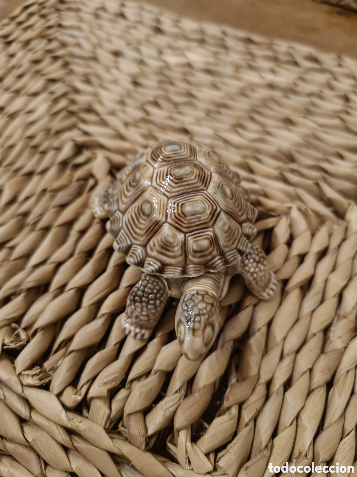 Antig&uuml;edades: Tortuga de cer&aacute;mica inglesa - Foto 1