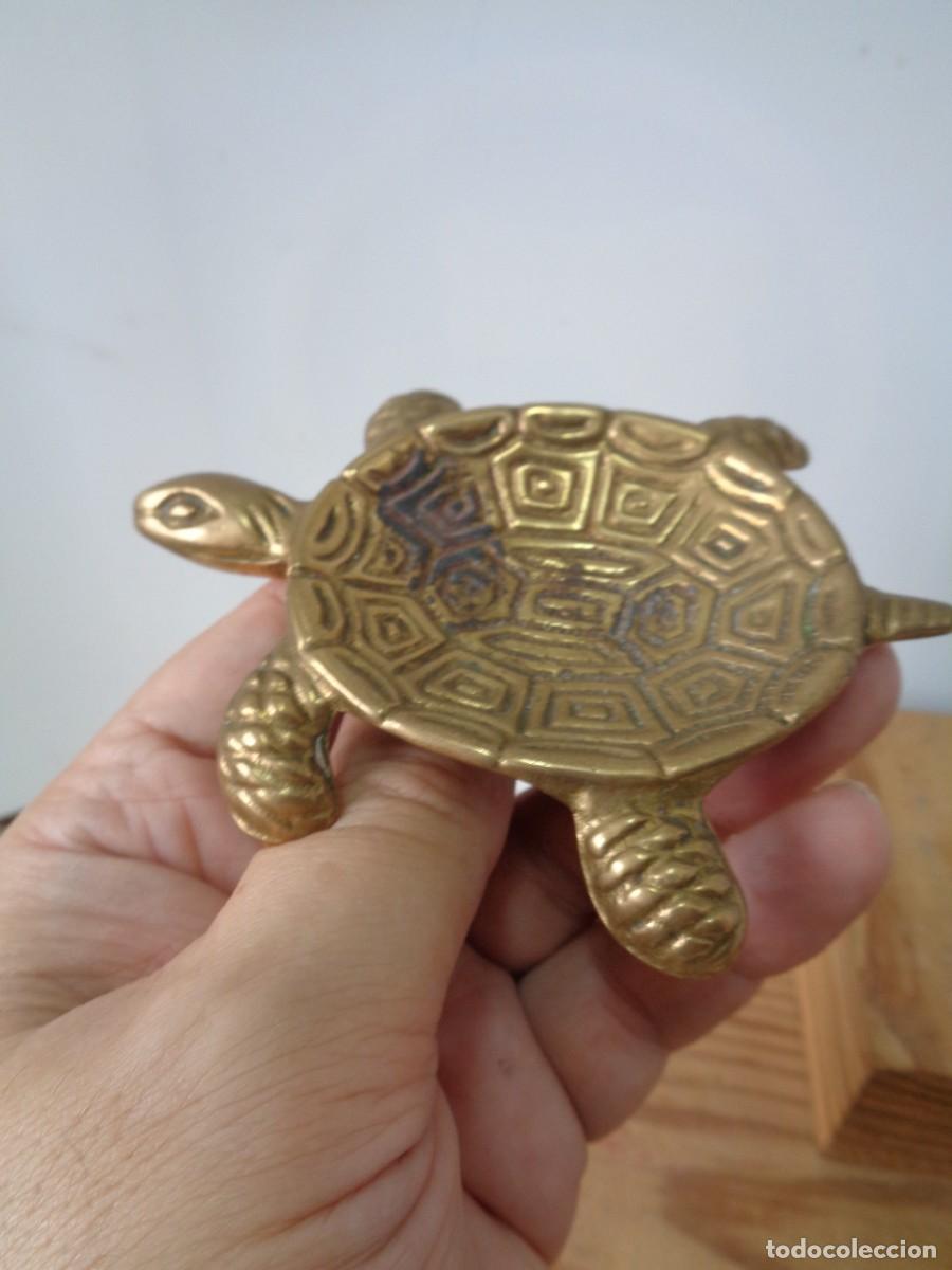 Antig&uuml;edades: &iexcl;&iexcl; TORTUGA. BRONCE. ORIGINAL. !! C-18. - Foto 7