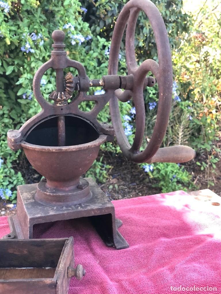 Antig&uuml;edades: Molino de caf&eacute; de tendero. - Foto 4