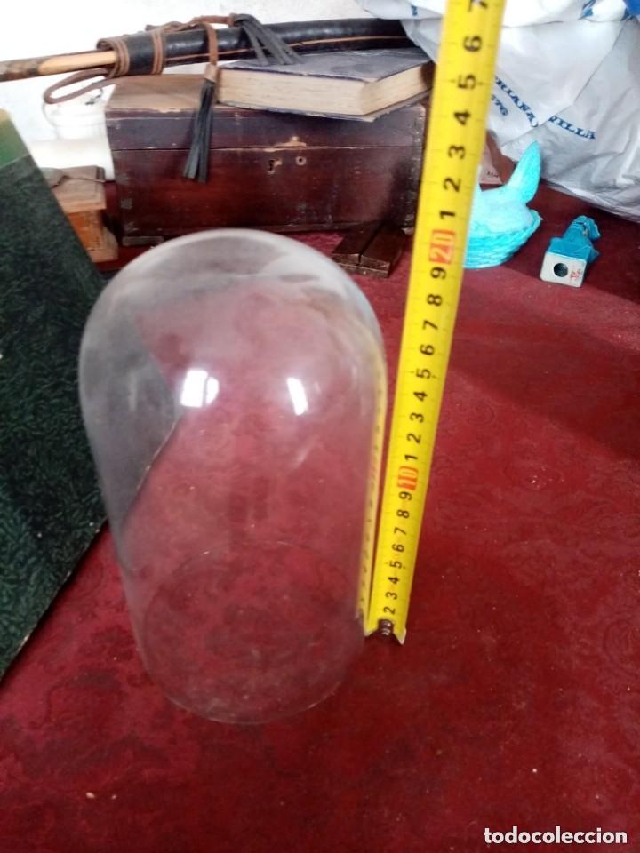 Antig&uuml;edades: cupula cristal para santo - Foto 1