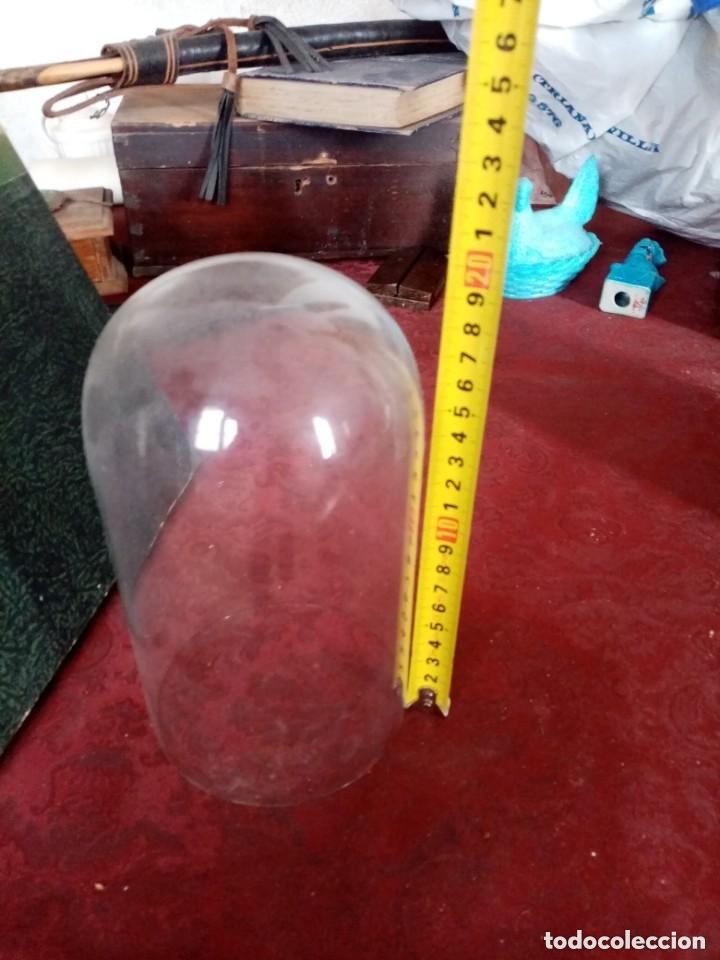 Antig&uuml;edades: cupula cristal para santo - Foto 2