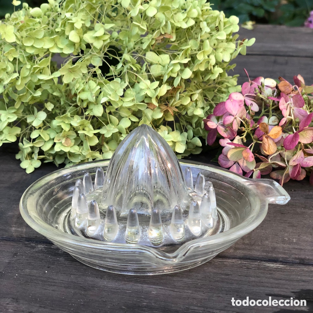 Antig&uuml;edades: ANTIGUO EXPRIMIDOR DE LIMONES DE CRISTAL. - Foto 1