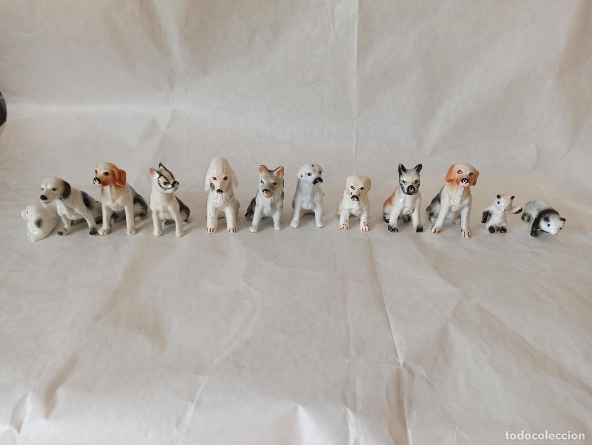 Antigüedades: Porcellane gruppo di razze canine e orsetti