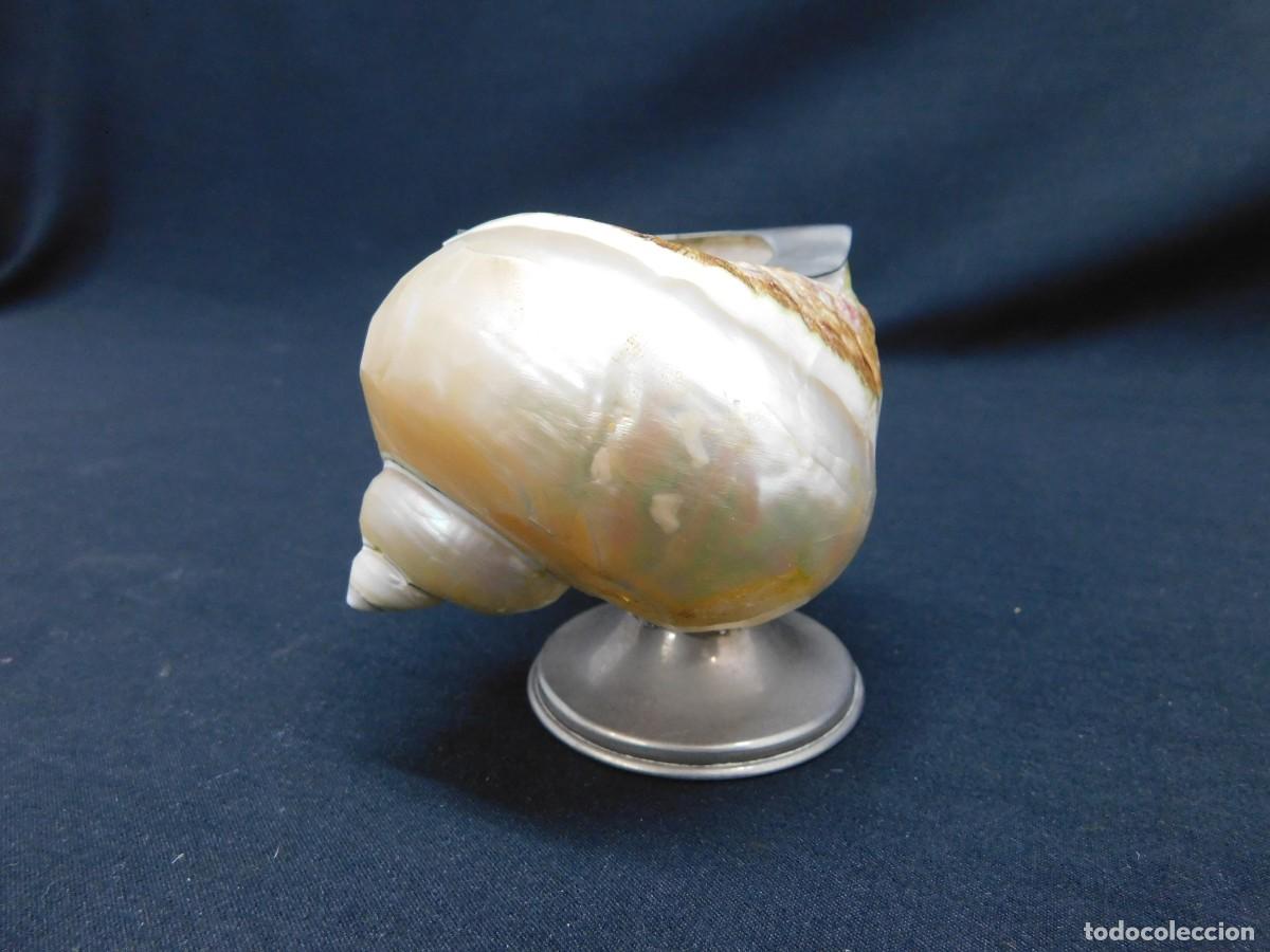 Antig&uuml;edades: CARACOLA CON ADORNOS DE PLATA - Foto 4