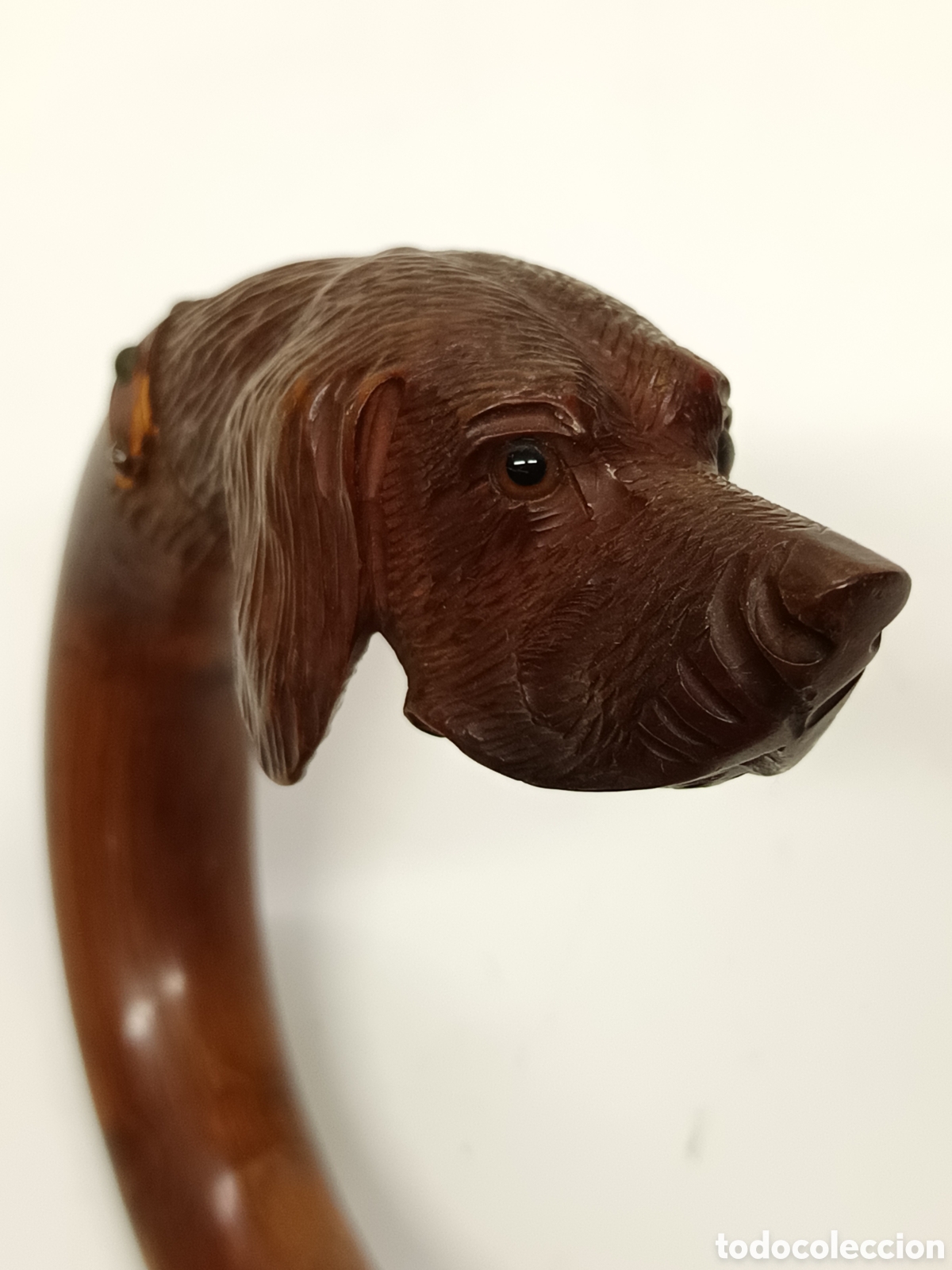 Antig&uuml;edades: Baston cabeza de perro tallada en madera - Foto 5