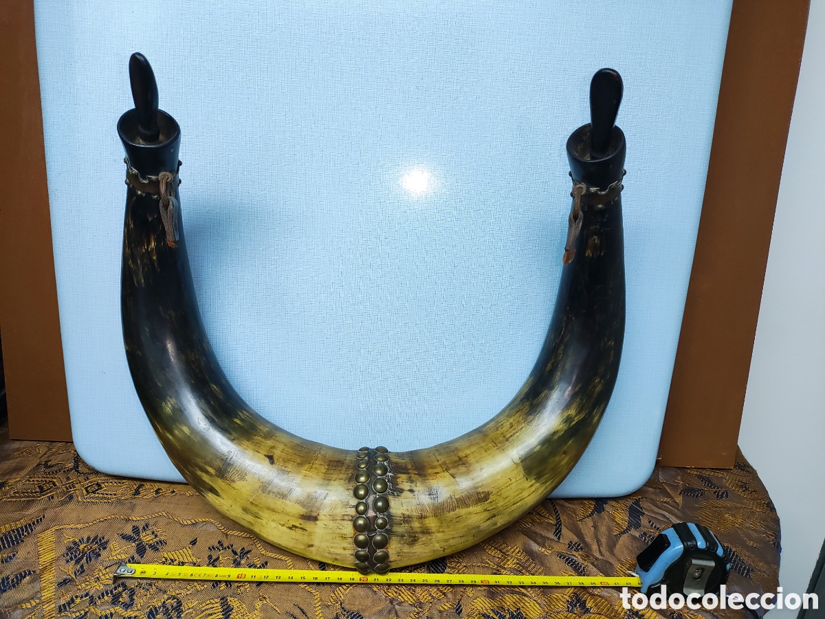 Antig&uuml;edades: CUERNOS DE TORO RECIPIENTES PARA L&Iacute;QUIDO - Foto 4