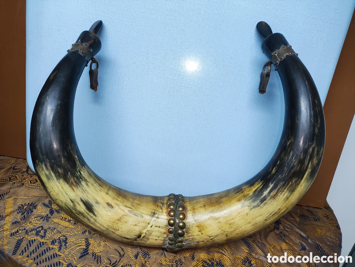 Antig&uuml;edades: CUERNOS DE TORO RECIPIENTES PARA L&Iacute;QUIDO - Foto 1