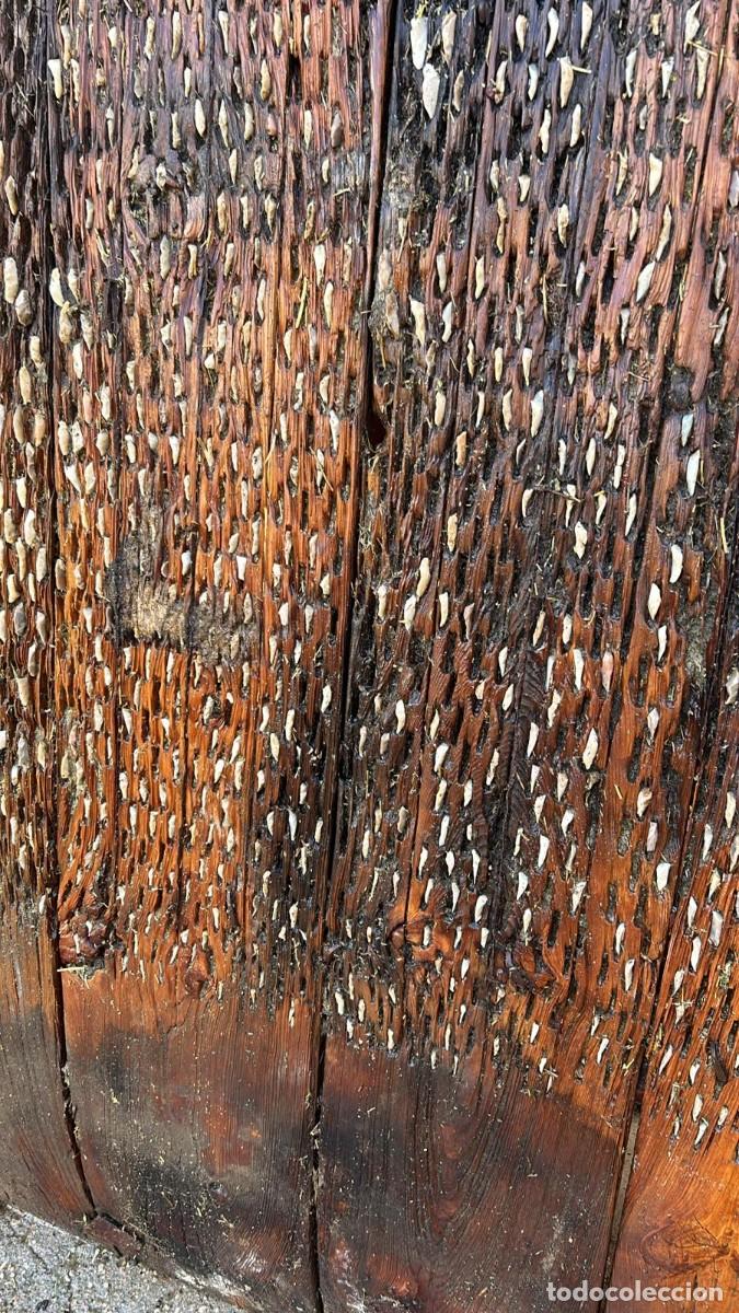 Antig&uuml;edades: TRILLA ANTIGUA DE 180 X 110 CMS. - Foto 3