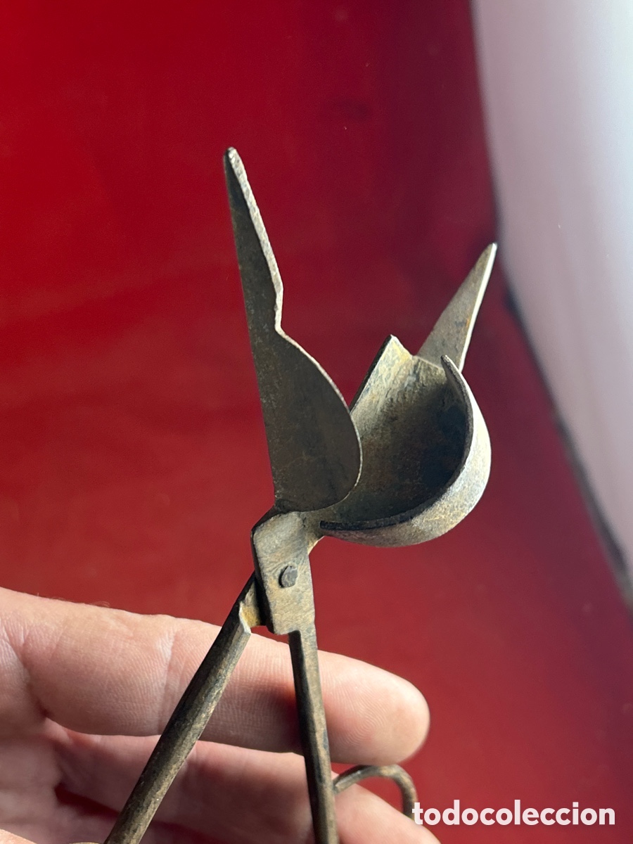 Antig&uuml;edades: ANTIGUAS ESPABILADERAS - Foto 3