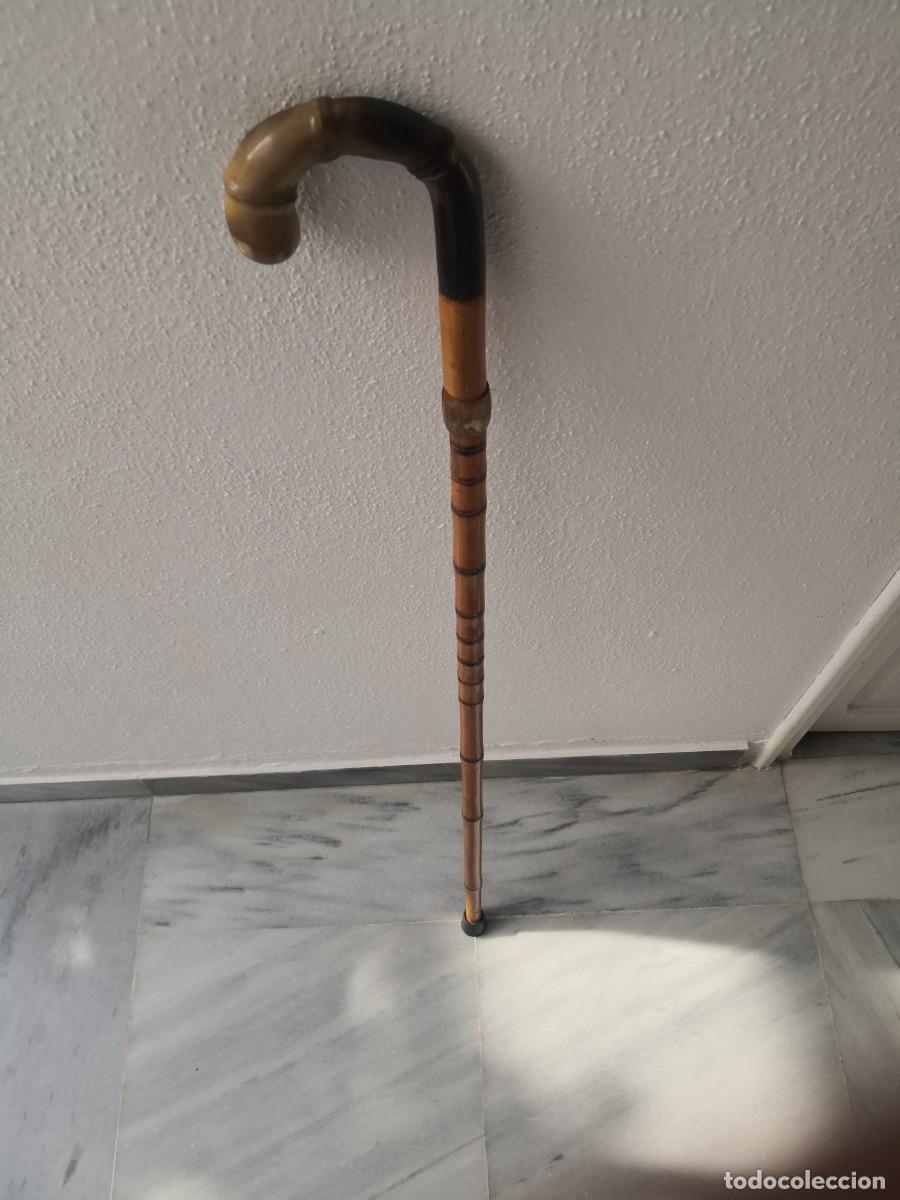 Antig&uuml;edades: Antiguo bast&oacute;n empu&ntilde;adura de asta de toro - Foto 1