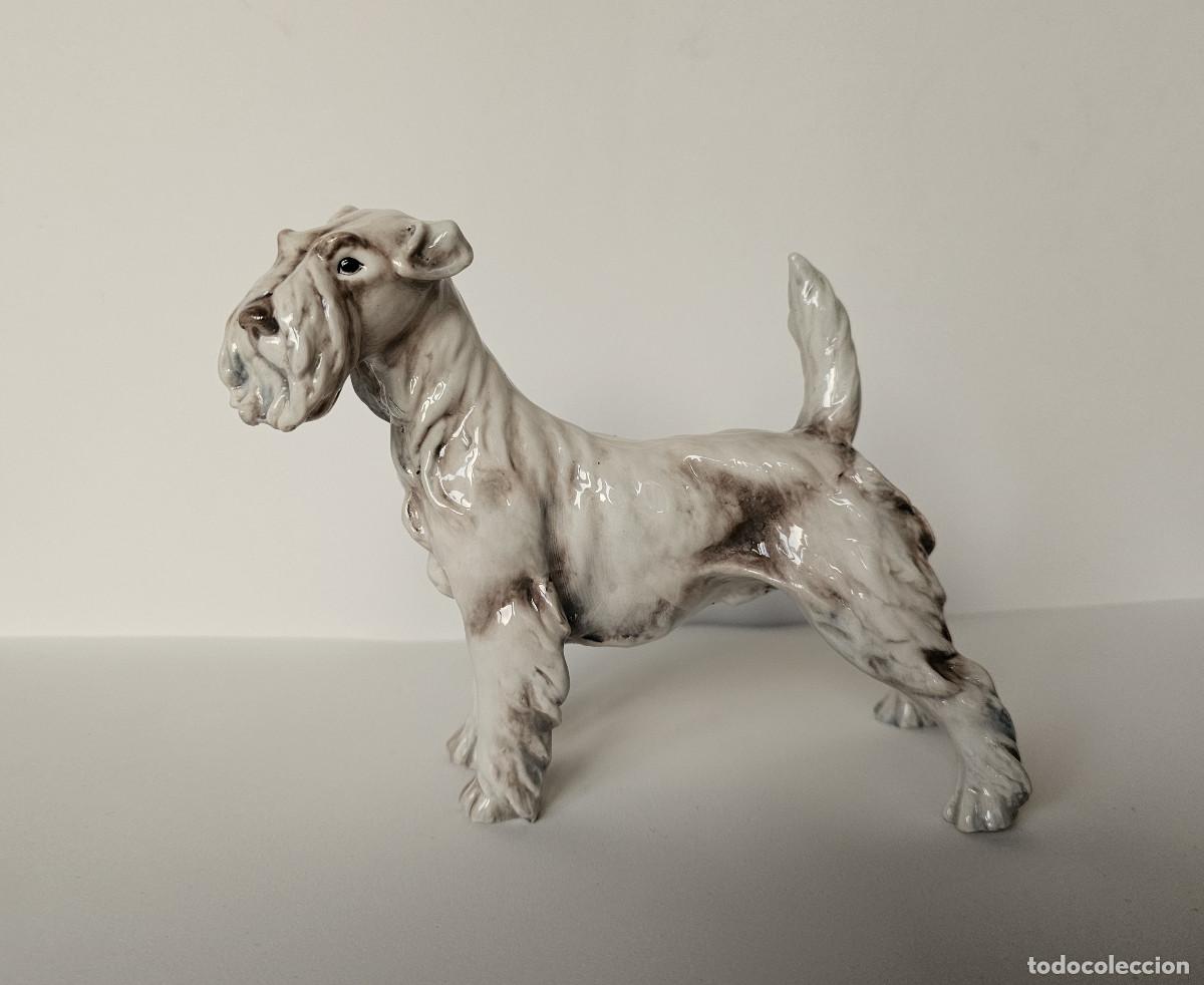 Antig&uuml;edades: GUIDO CACCIAPUOTI, FOX TERRIER DE PELO DURO - Foto 1