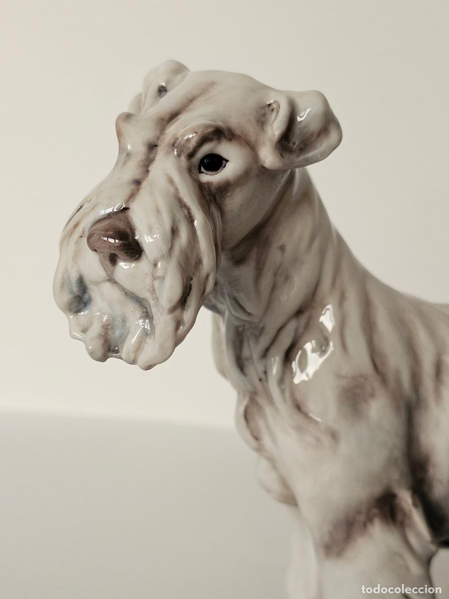 Antig&uuml;edades: GUIDO CACCIAPUOTI, FOX TERRIER DE PELO DURO - Foto 2