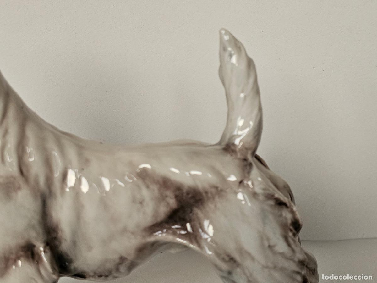 Antig&uuml;edades: GUIDO CACCIAPUOTI, FOX TERRIER DE PELO DURO - Foto 3