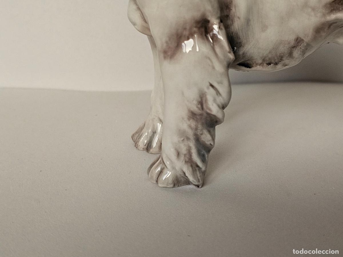 Antig&uuml;edades: GUIDO CACCIAPUOTI, FOX TERRIER DE PELO DURO - Foto 4