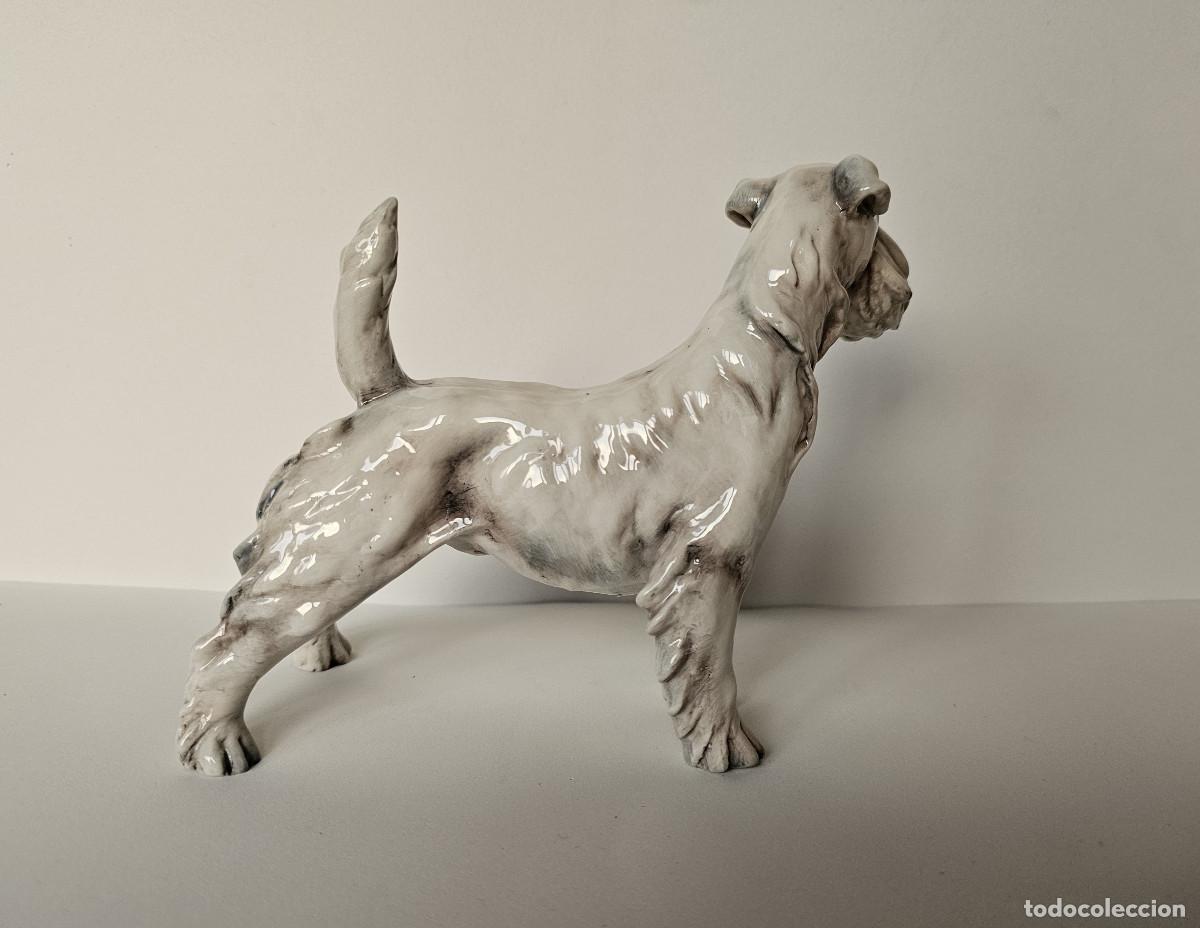 Antig&uuml;edades: GUIDO CACCIAPUOTI, FOX TERRIER DE PELO DURO - Foto 6