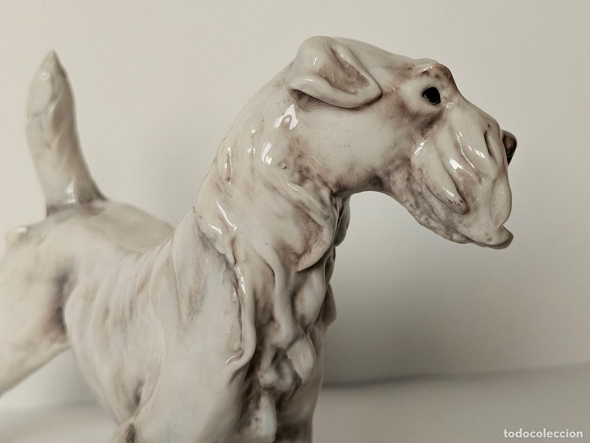 Antig&uuml;edades: GUIDO CACCIAPUOTI, FOX TERRIER DE PELO DURO - Foto 7