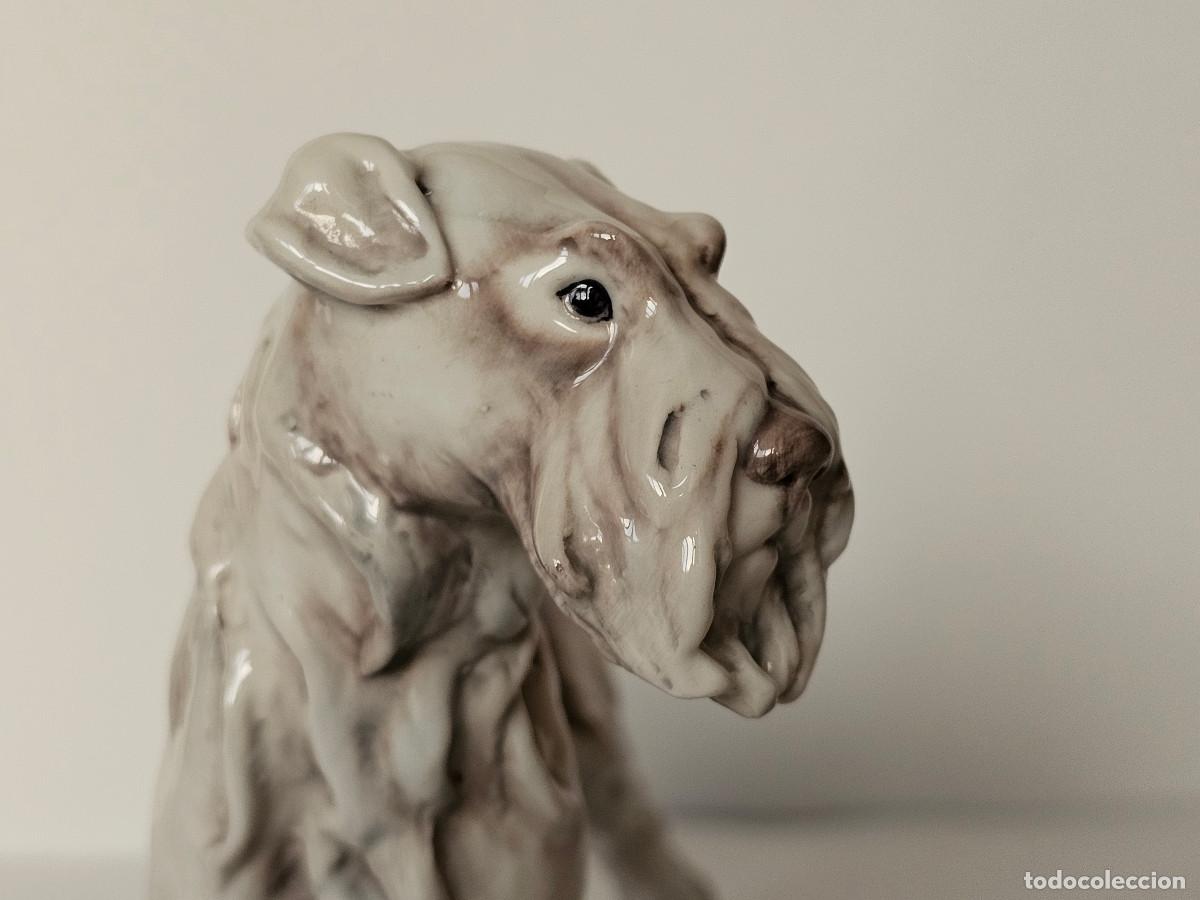 Antig&uuml;edades: GUIDO CACCIAPUOTI, FOX TERRIER DE PELO DURO - Foto 8