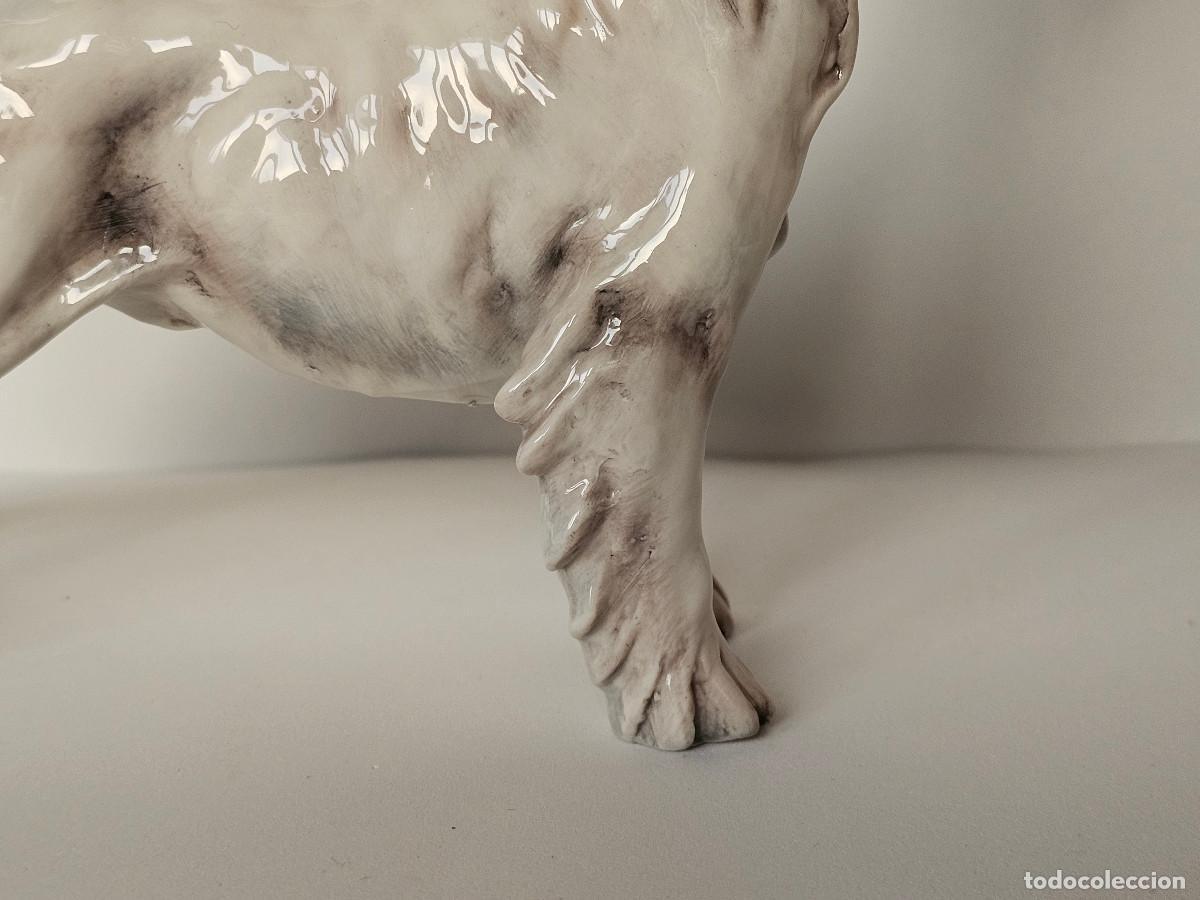 Antig&uuml;edades: GUIDO CACCIAPUOTI, FOX TERRIER DE PELO DURO - Foto 9