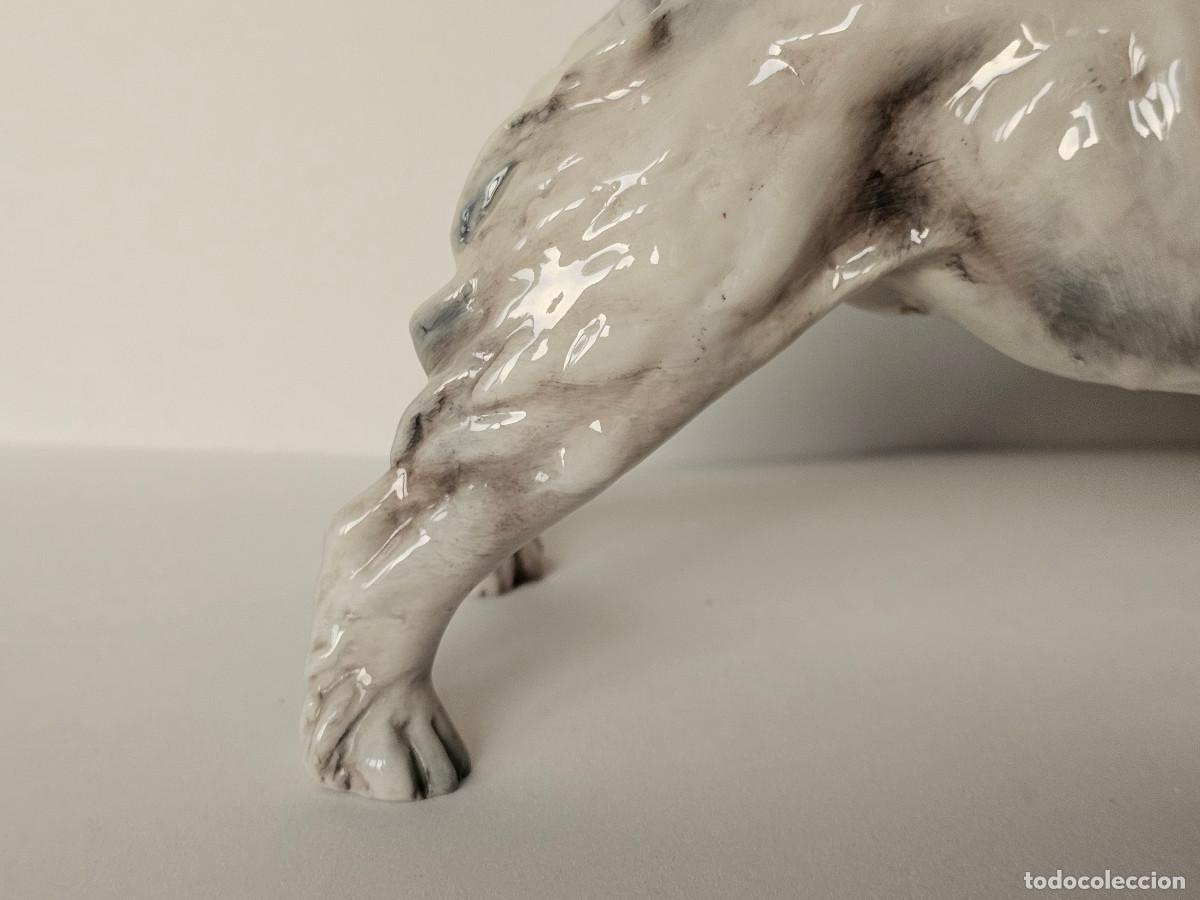 Antig&uuml;edades: GUIDO CACCIAPUOTI, FOX TERRIER DE PELO DURO - Foto 10