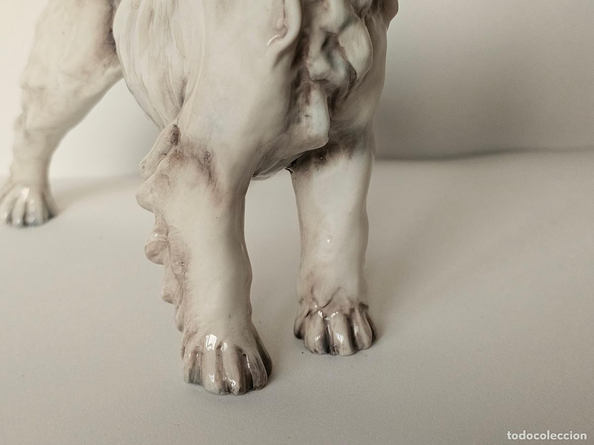 Antig&uuml;edades: GUIDO CACCIAPUOTI, FOX TERRIER DE PELO DURO - Foto 11