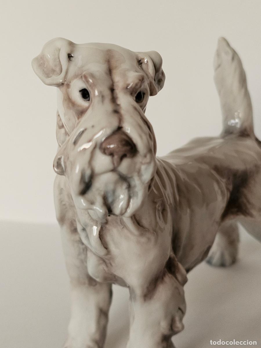 Antig&uuml;edades: GUIDO CACCIAPUOTI, FOX TERRIER DE PELO DURO - Foto 12