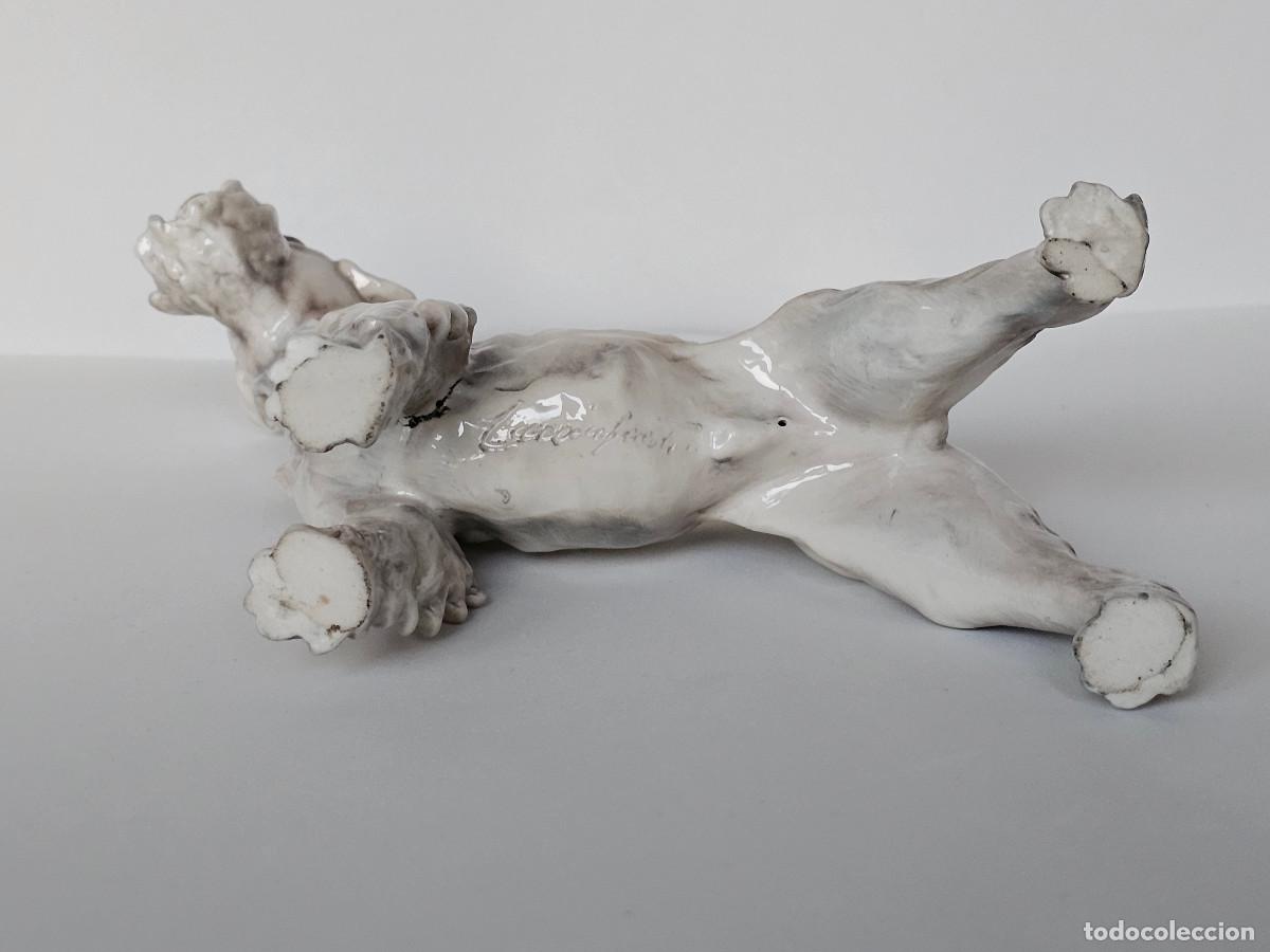 Antig&uuml;edades: GUIDO CACCIAPUOTI, FOX TERRIER DE PELO DURO - Foto 15