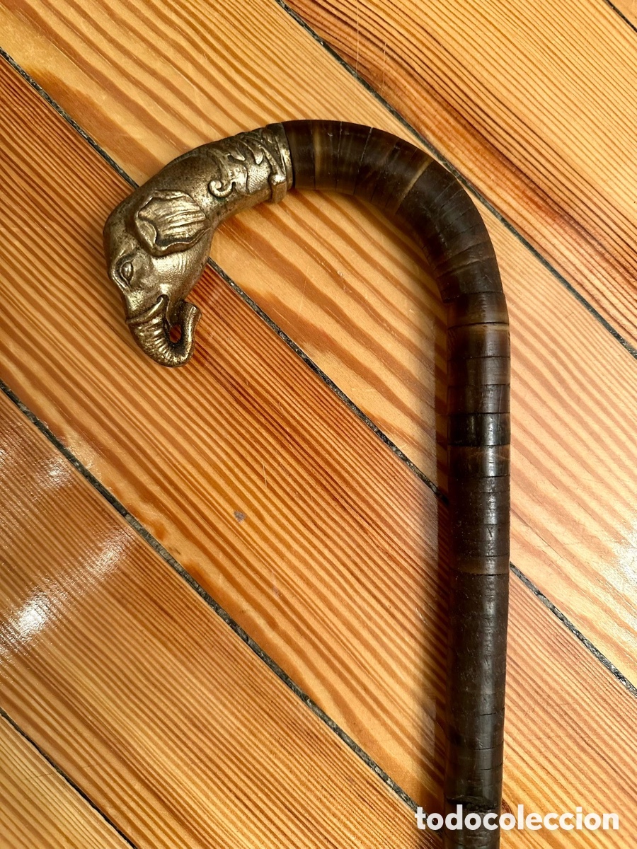 Antig&uuml;edades: Bast&oacute;n cabeza de elefante - Foto 1